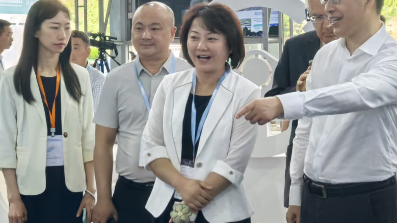 汽车内饰遮阳挡：尺寸选择与安装要点解析